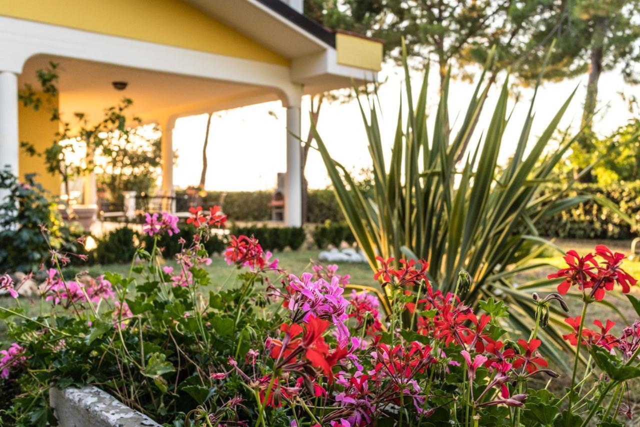 Casale delle Rose Casa Vacanze Montepagano Esterno foto